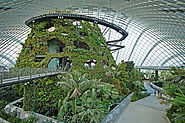 Cloud Forest, Gardens by the Bay