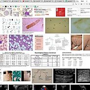 GrepMed Image Based Medical Reference Find Algorithms, Decision Aids, Checklists, Guidelines, Differentials, Point of...