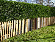 How Installing A Wooden Fence Fixes Different Property Woes?