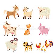 Allah mentions many animals in the Quran - Quran Learning Recitation