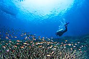 Dive Overseas & International Diving Trips - Dive Newcastle