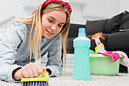 House Cleaning Services Near Palm City - House Cleaning Tips For Cat Odors