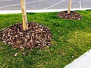 Melbourne Tree Mulching Services