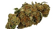 Finding a premium marijuana dispensary online in Canada