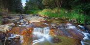 New Town Rivulet Linear Park