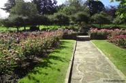 University Rose Gardens