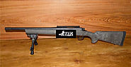 Remington Model 700 AAC-SD .300 Blackout & Bipod