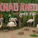 Khao Kheow Open Zoo