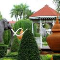 Nong Nooch Botanical Gardens