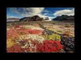 TOP 10 REASON YOU HAVE TO VISIT IN ICELAND AMAZING PLACES IN ICELAND
