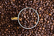 arabica coffee vs robusta coffee | types of coffee arabica
