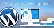 wordpress web development services | woocommerce development services