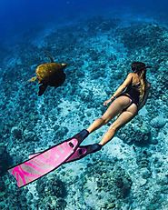 How to Have Scuba Diving Holiday in Bali with Non-Divers! | Schoolvolunteersnyc