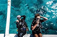 What You Should Know Before Diving in Bali | Massautomation-global
