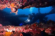The Spectacular Three Wreck Diving in Bali | Garyhooper