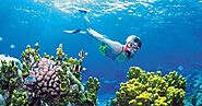10 Top Scuba Diving Vacation Site for Beginners in Indones