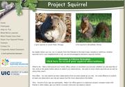 Project Squirrel