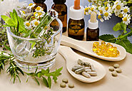 Why You Should Go for Herbal Medicine