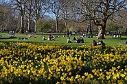 Quick Visit to London during Spring Season - Wattpad