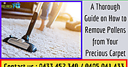 A Thorough Guide on How to Remove Pollens From Your Precious Carpet