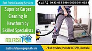 Superior Carpet Cleaning in Hawthorn by Skilled Specialists