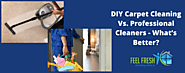 DIY Carpet Cleaning Vs. Professional Cleaners- What’s Better?