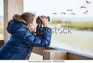 Bird Watching In A Bundala National Park