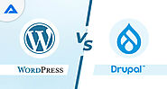 Drupal vs WordPress: What’s the Best CMS Platform for Website Development in 2024?