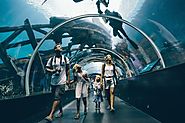 S.E.A Aquarium, Sentosa Island