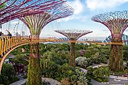 Gardens by the Bay