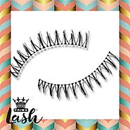 Basics 5 Pair Pack Vegan Lashes #Kylie (Lower Lashes) – Primalash