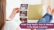 PPT - Avail Fetal Health Scan At Window To The Womb Leicester PowerPoint Presentation - ID:9886554
