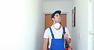 Pest Control Services in Fulham and Nottinghill