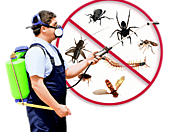 Outstanding Commercial and Residential Pest Control in Blacknell