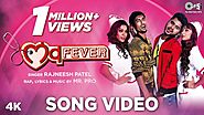 Love Fever - Rajneesh Patel, Mr.Pro Lyrics
