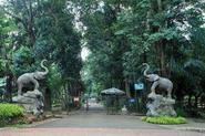 The Ragunan Zoo