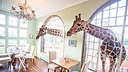 Giraffe Manor | The Safari Collection | Kenya | andBeyond