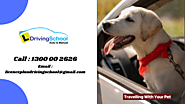 Top Tips for Travelling With Your Pet Which Driving Schools Will Advice on