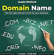 Domain Name Renewal And Transfer