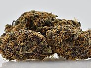 Enjoymint - San Jose, California Marijuana Delivery Service | Weedmaps
