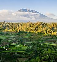 Trek across Rice Terraces in Bali