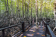 Pranburi Forest Park and Nature Reserve