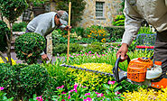 Top Integral Landscape Maintenance Tips for a Lush Garden