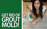 Get Rid Of Grout Mold!