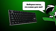 Лучшая киберспортивная клавиатура за 4500 рублей!!! (Обзор Havit HV-KB390L)