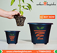 Website at http://urbanbagicha.com/