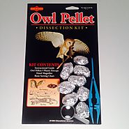 Home school science activity: Perform dissecting an owl pellet with your kid