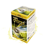 Fezes oyster gold - Tinh hàu Mỹ, Điều trị yếu sinh lý