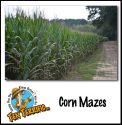 Corn Mazes