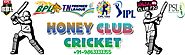 IPL Cricket Festival - Stay Ahead of other Punters with Online Cricket Betting Tips